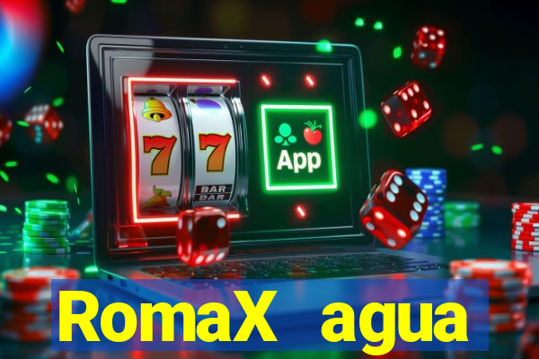 RomaX agua sanitaria fispq agua sanitaria romax